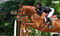 Annonce cheval