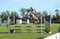 Horse ad
