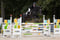 Horse ad