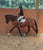 Horse ad