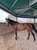Horse ad