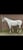 Horse ad