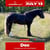 Annuncio cavallo