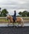Horse ad