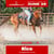 Annuncio cavallo