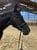 Horse ad