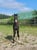 Annuncio cavallo