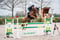 Annonce cheval