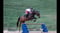 Horse ad