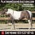 Horse ad