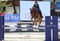 Annuncio cavallo