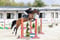 Annuncio cavallo