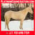 Horse ad