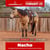 Horse ad