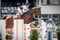 Horse ad