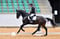 Annuncio cavallo