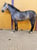 Horse ad