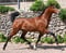 Annuncio cavallo