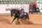 Horse ad