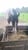 Horse ad