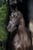 Horse ad