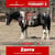 Horse ad