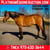 Horse ad