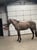 Annuncio cavallo