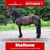 Paardadvertentie