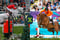 Annuncio cavallo