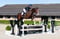 Annonce cheval