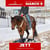 Paardadvertentie