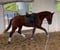 Horse ad