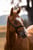 Horse ad