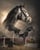 Horse ad