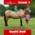 Paardadvertentie