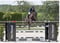 Annuncio cavallo