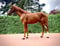 Annonce cheval