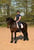 Horse ad