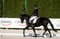 Horse ad
