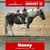 Horse ad