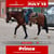 Anuncio de caballos