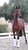 Horse ad