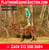 Horse ad