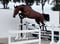 Annuncio cavallo