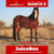 Horse ad
