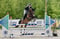 Annuncio cavallo