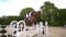 Horse ad