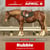 Horse ad