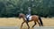 Horse ad